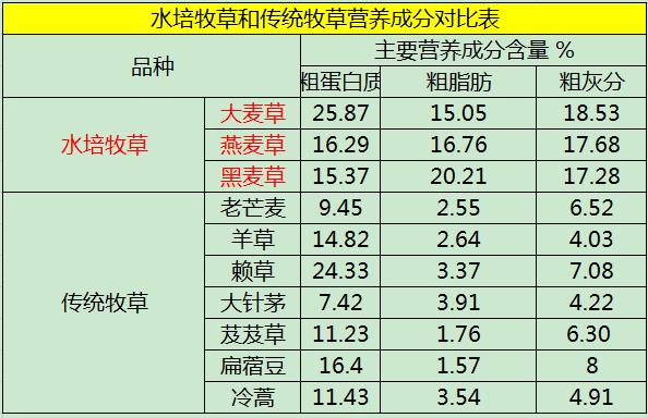 水培牧草——選購品種